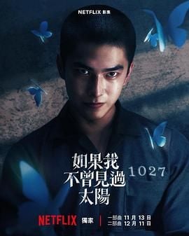 如果我不曾见过太阳